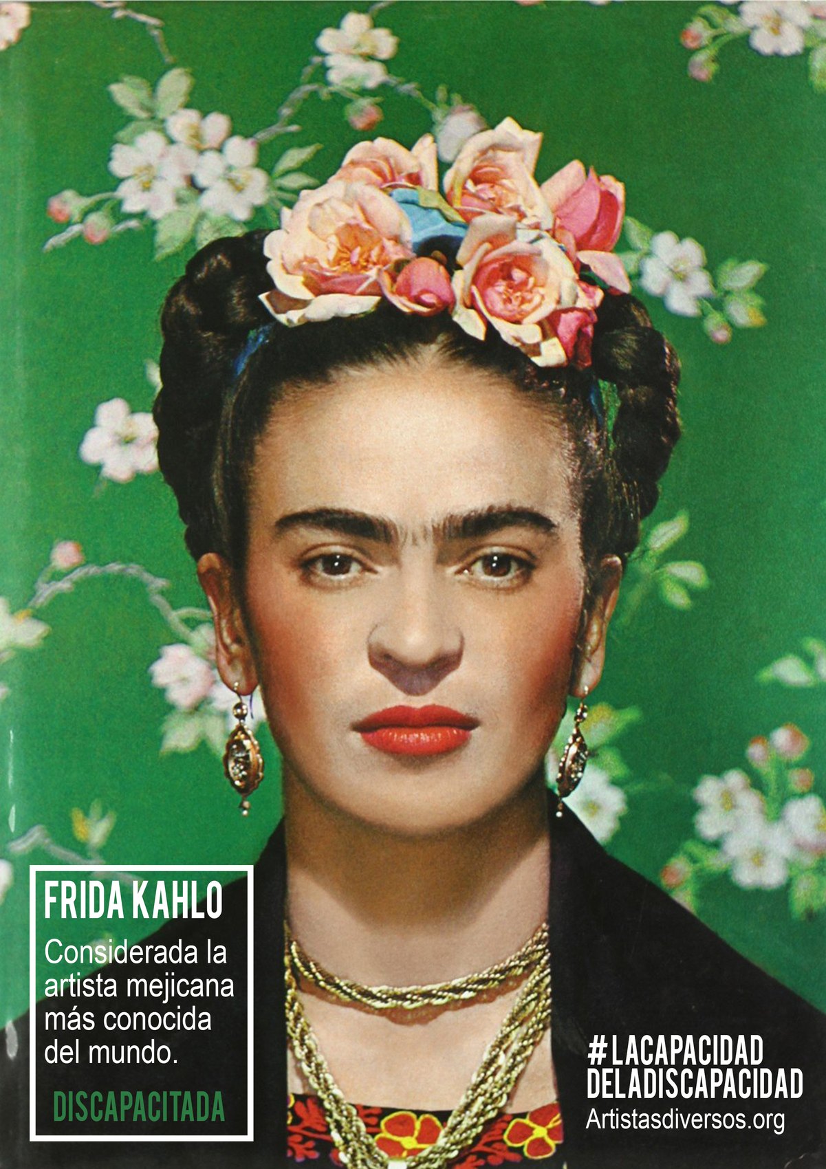 Artistas Diversos — Campaña social